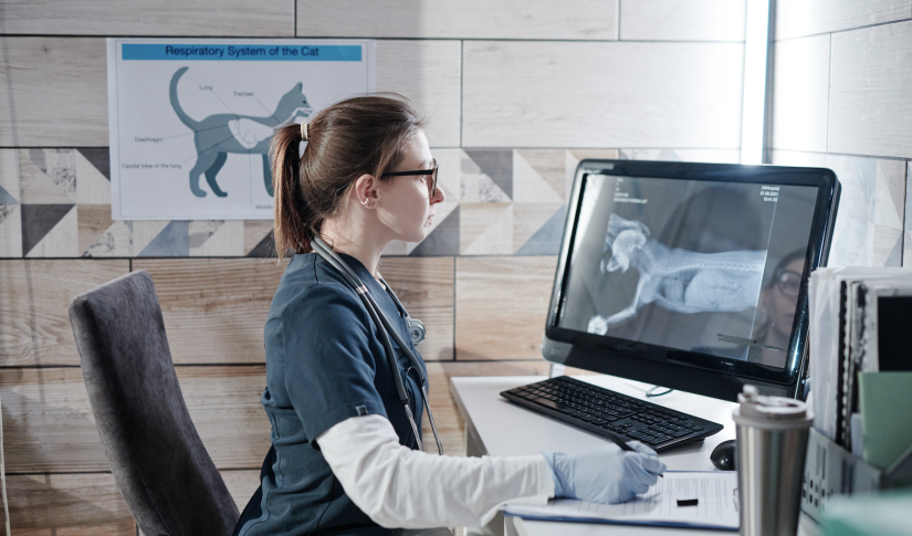 How To Modernize Veterinary Practice | IDEXX Software